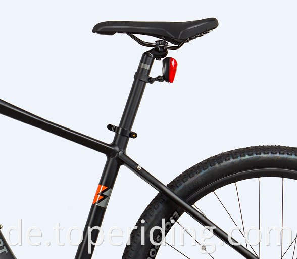 Ebike Electric Bike